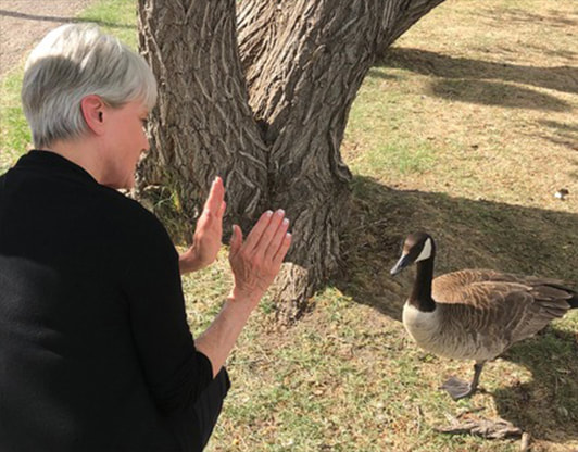 Charlotte Tomyn is holding her hands toward a Canada goose that is standing calmly, looking toward her.