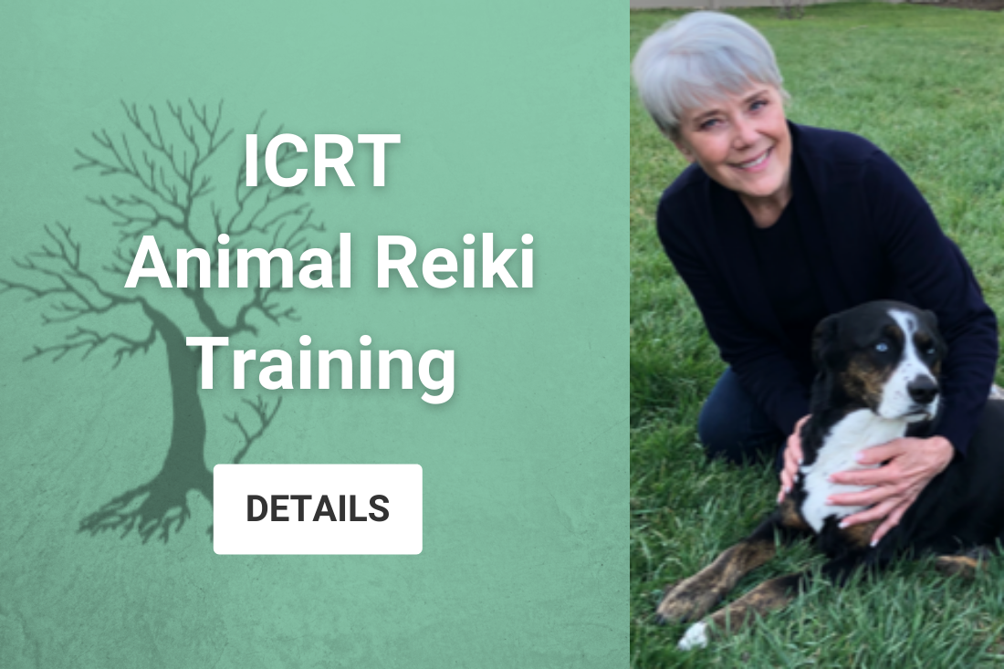 I.C.R.T. Animal Reiki Training. Click for details.ture