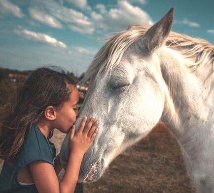 A girl kissing a white horse on the nose