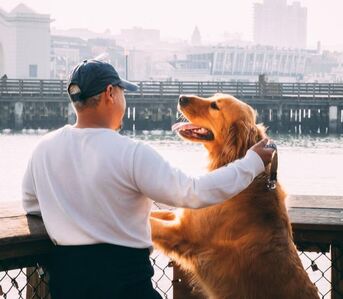 Man and dog looking over a railing at a body of water with city across the way.